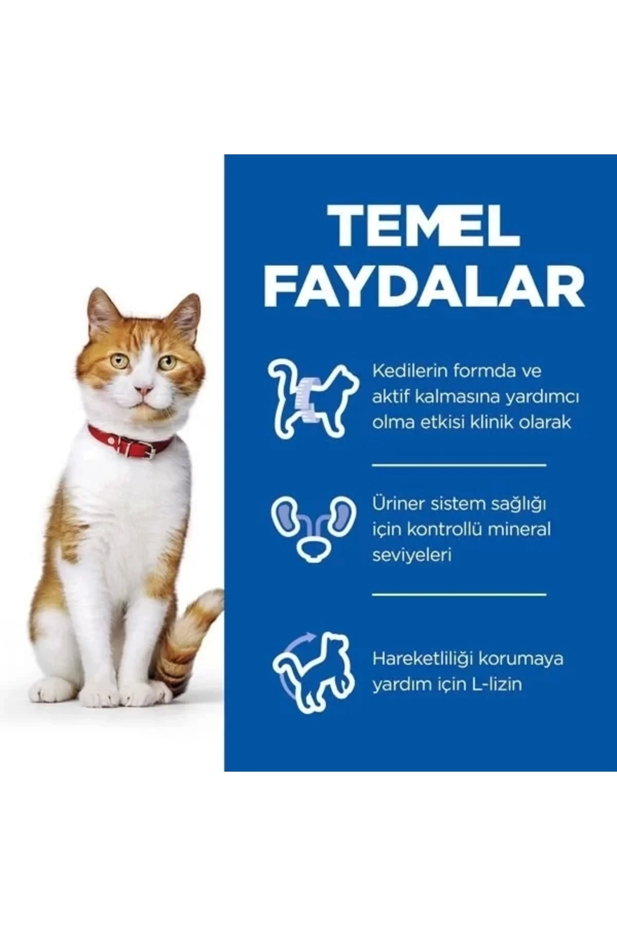 Hills Young Sterilised Tavuklu Kısırlaştırılmış Kedi Maması 1.5 Kg