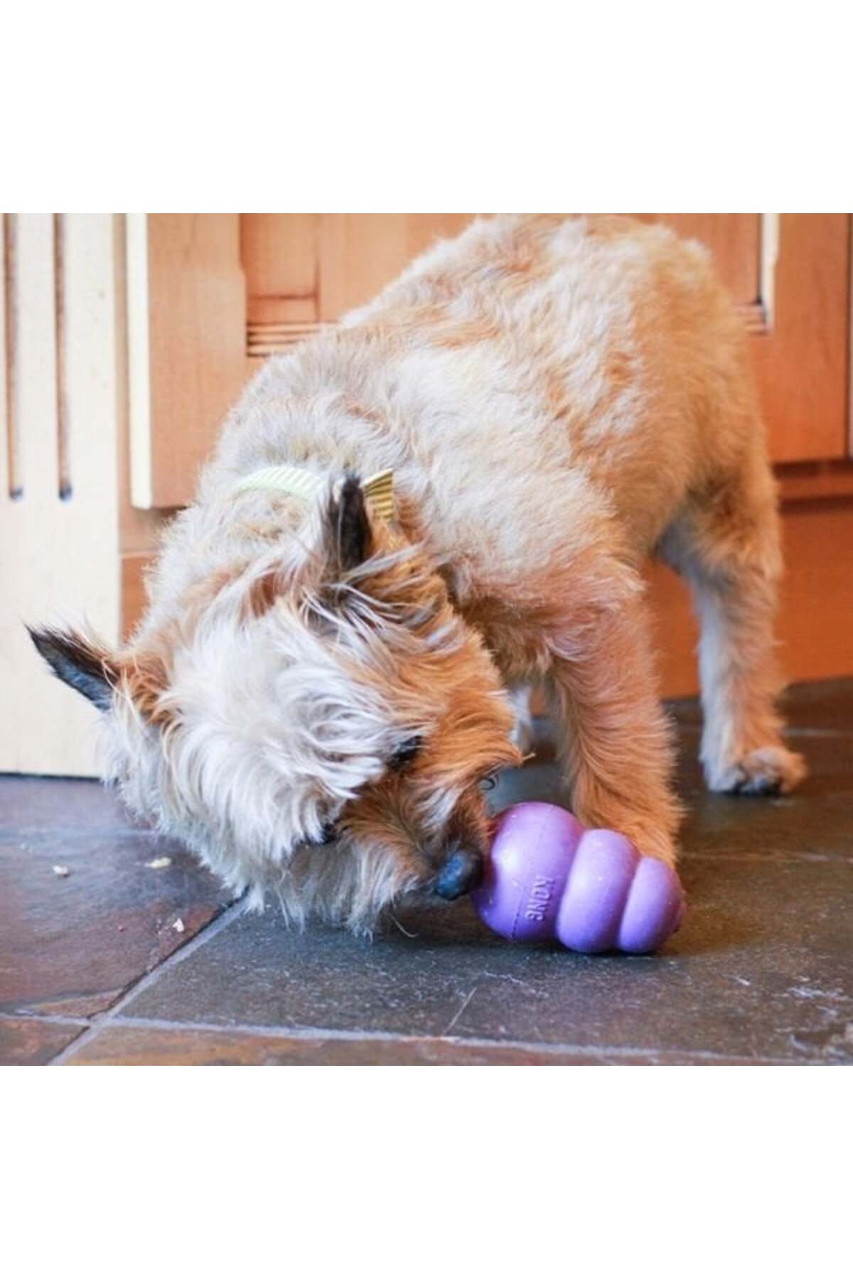 Kong Senior Ödül Hazneli Hafif Yumuşak Yaşlı Köpek Oyuncağı Large 10,4x7x7 Cm