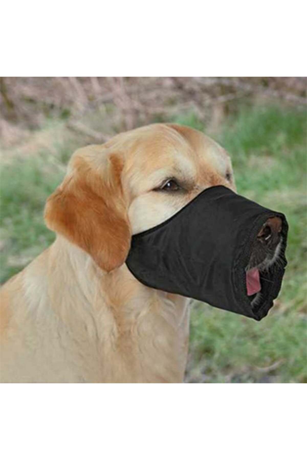 Trixie Köpek Ağızlığı Siyah Medium 24 Cm