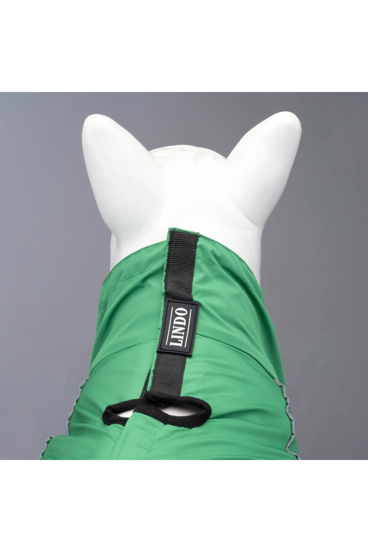 Lindo Dogs Quattro Nebula Köpek Yağmurluğu Yeşil Beden 6