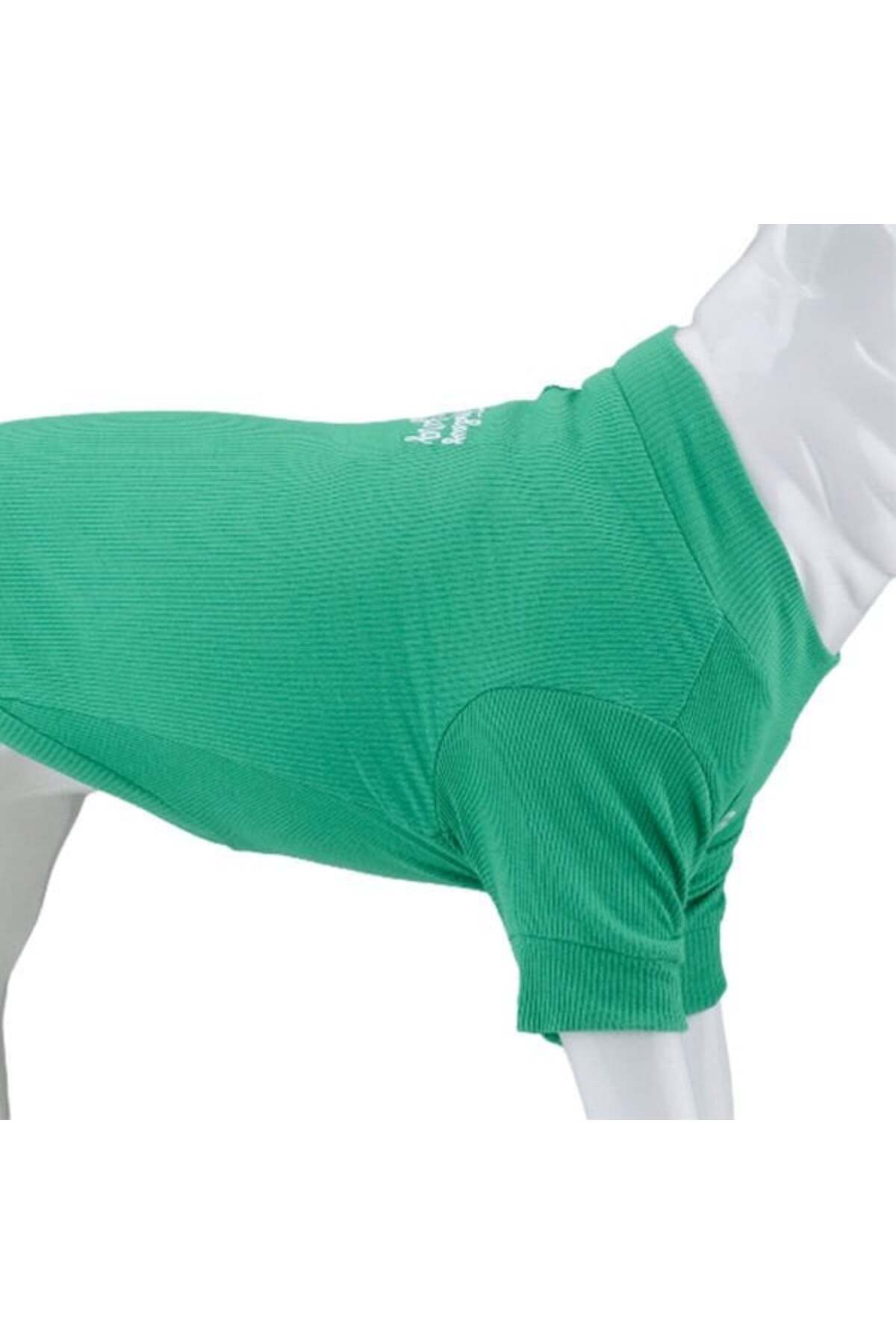 Lindo Dogs Make Today Amazing Köpek Kıyafeti Tshirt Yeşil Beden 2