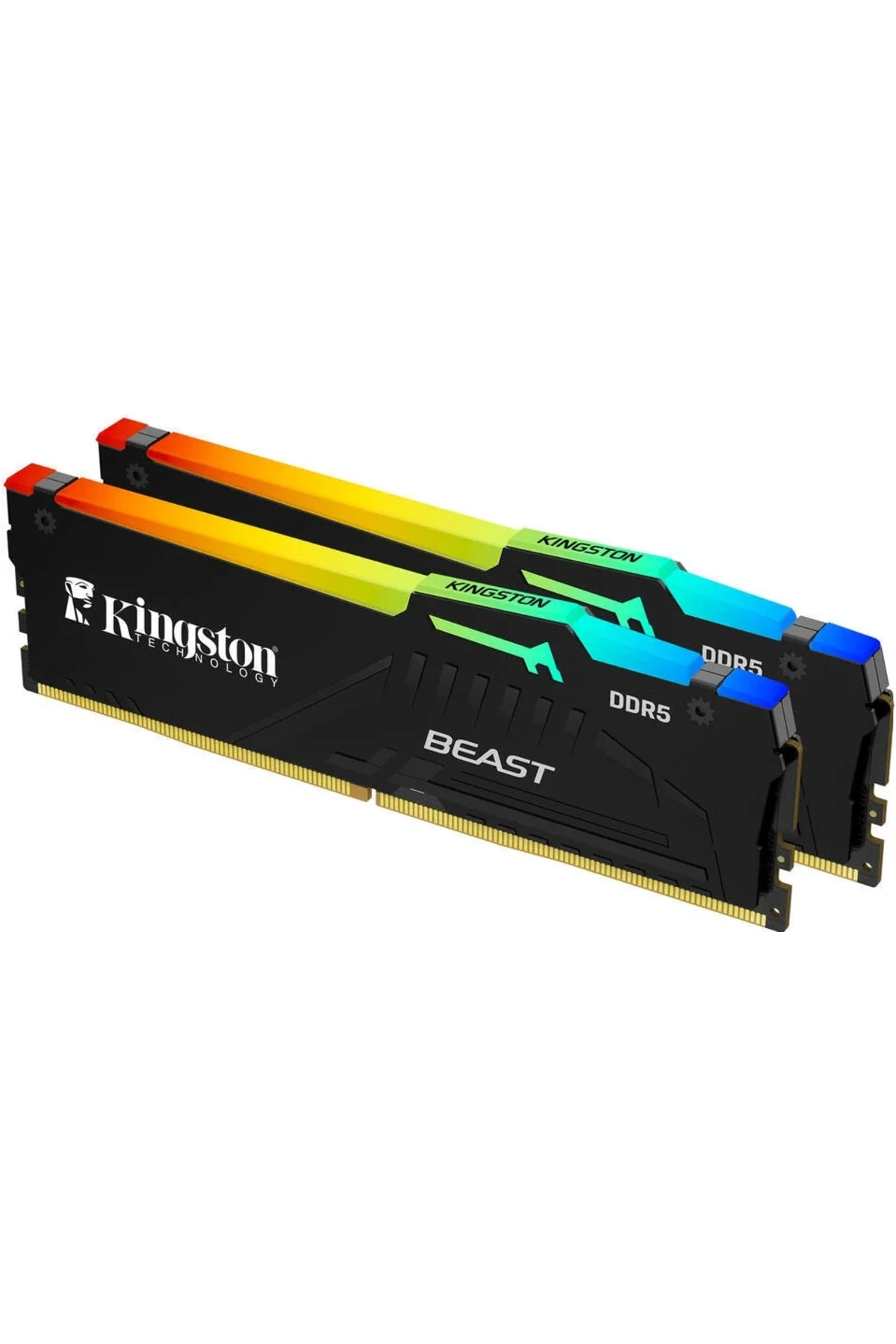 64GB 6000MT/s DDR5 CL36 DIMM (Kit of 2) Beast RGB EXPO Turkey