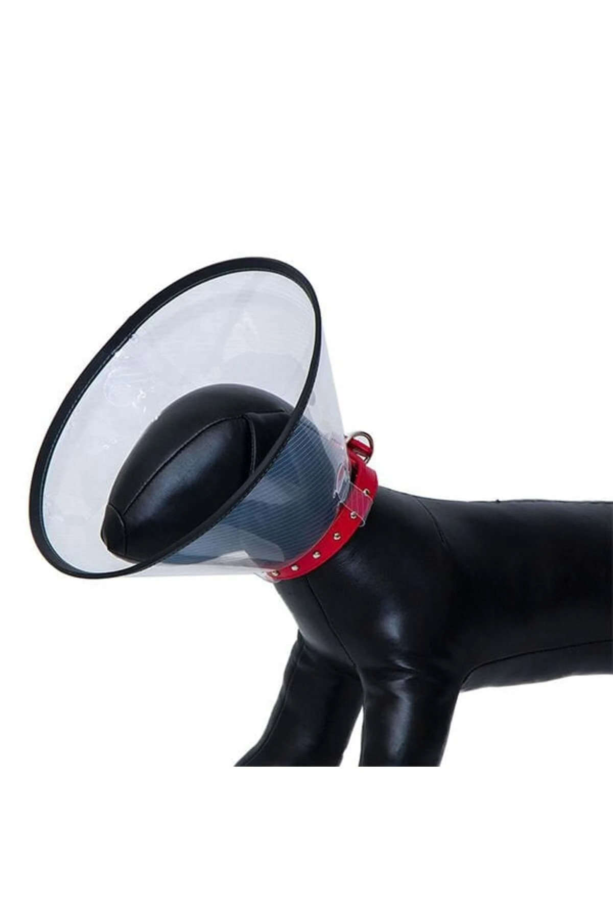 Eastland Dayanıklı Kedi ve Köpek Elizabeth Yakalığı 55.5x30.5 Cm