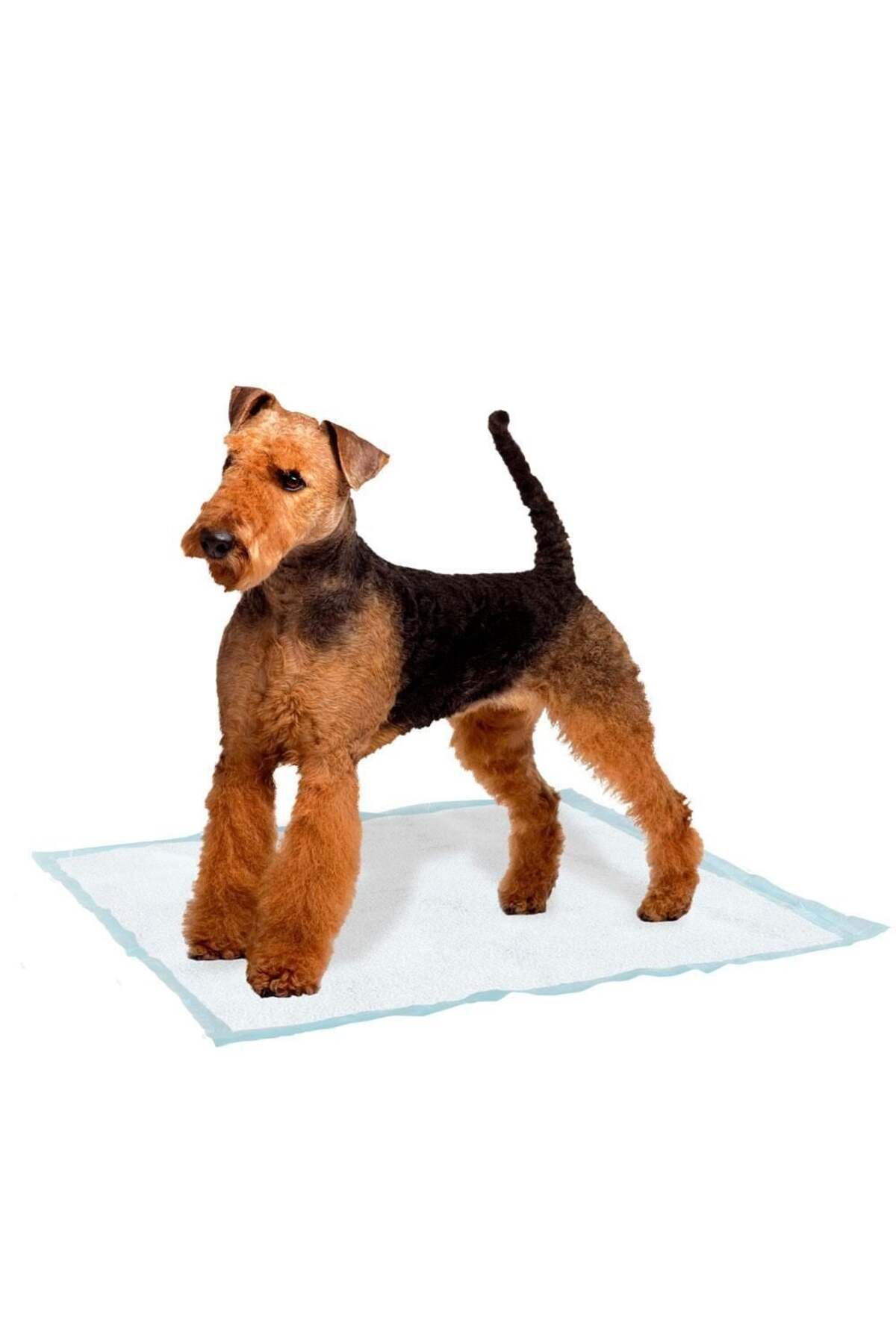 Ferplast Genico Köpek Tuvalet Eğitim Pedi Large 10 Adet 60x90 Cm