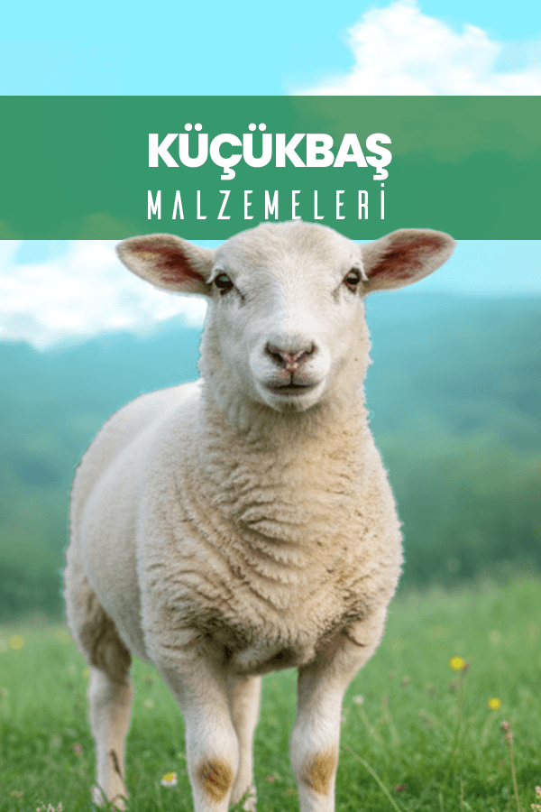 ady-kucukbas-malzemeleri