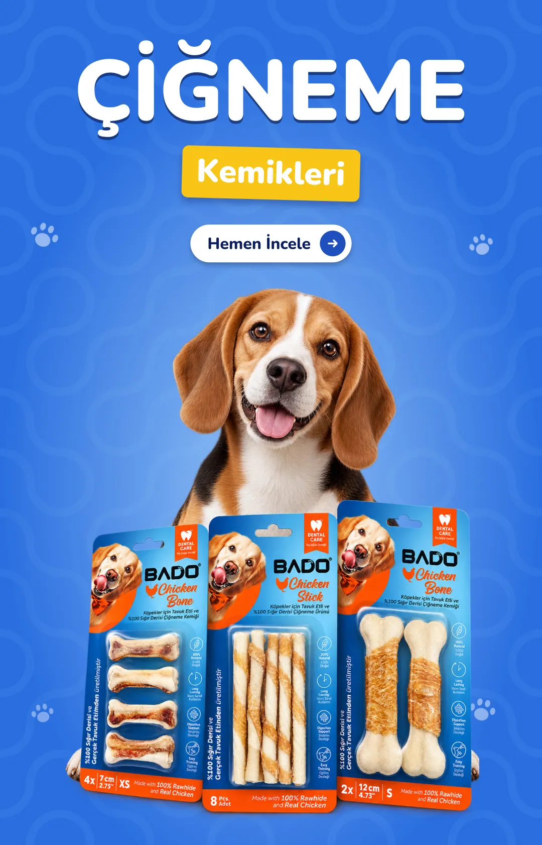 Çiğneme Kemikleri