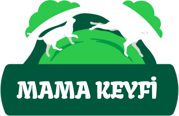 Mama Keyfi X Jet Digital