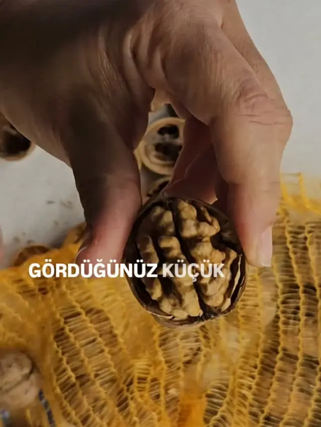 Elde kırılan cevizin içi