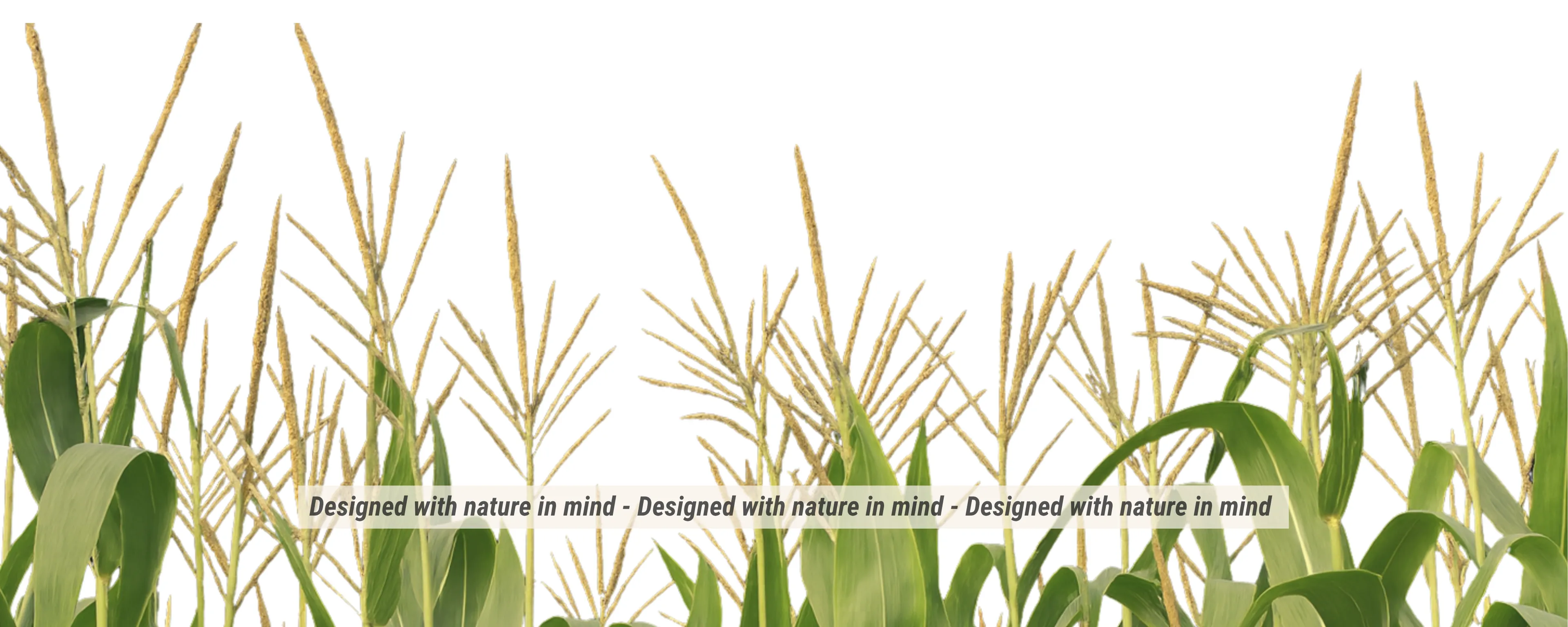 design with nature in mind