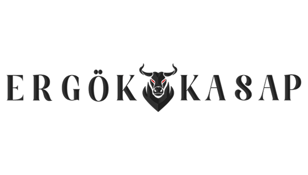ergokkasap.com