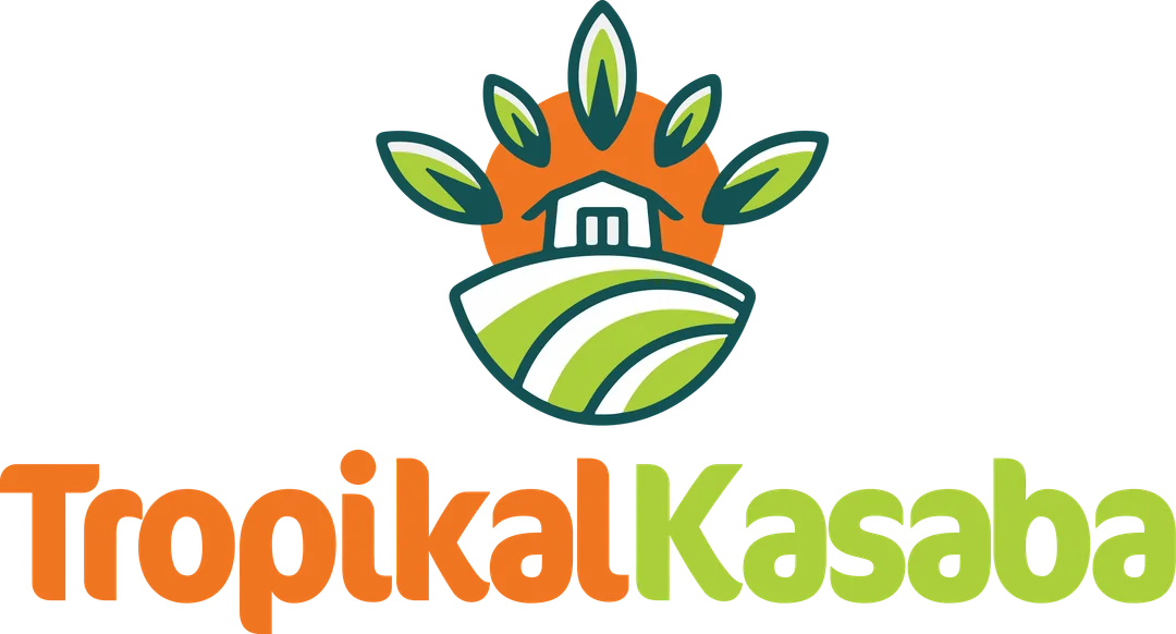 Ejder Meyvesi Hakkında Şaşırtıcı Bilgiler: Sıradışı Ejder Meyvesi