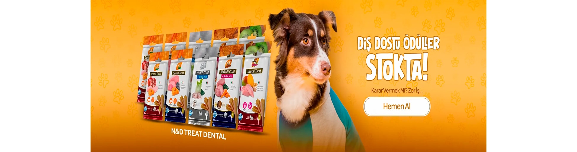 nd köpek ödül