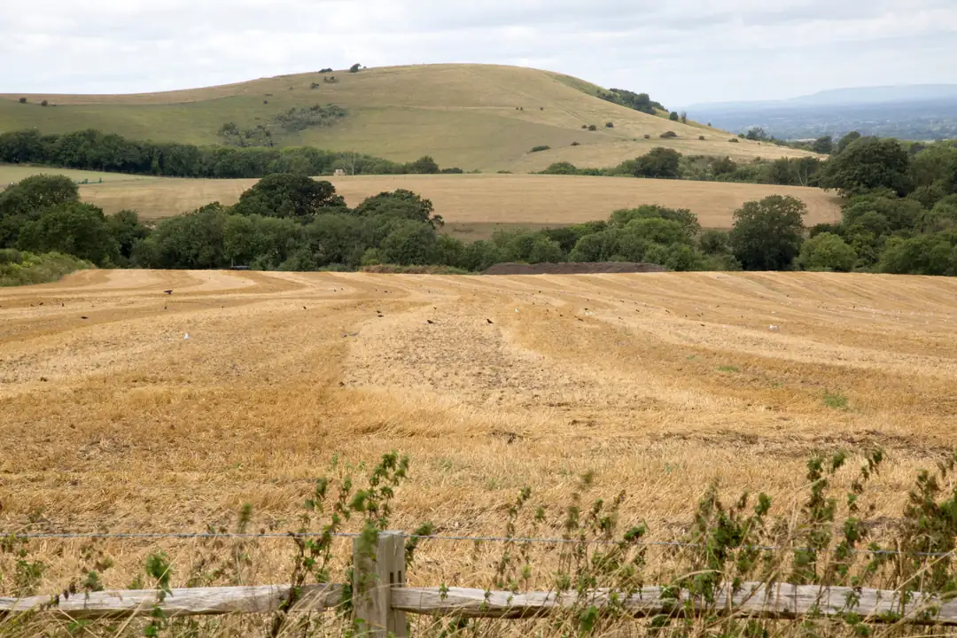 Bostan Baba doğal ürünler