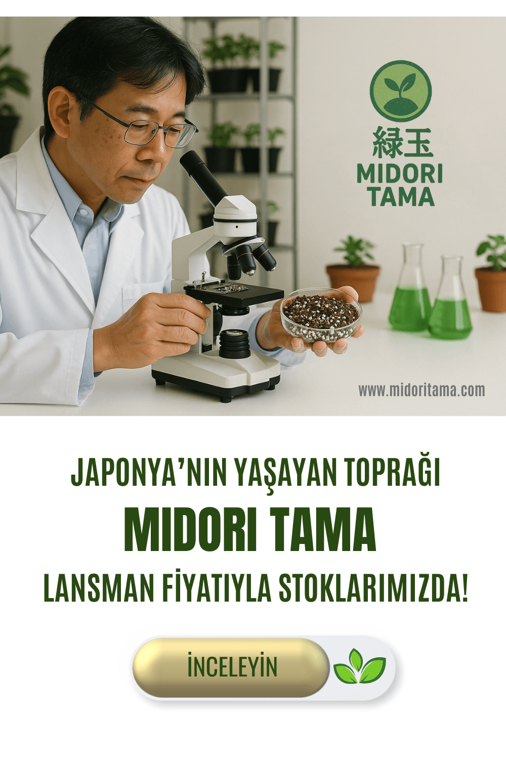 Midori Tama
