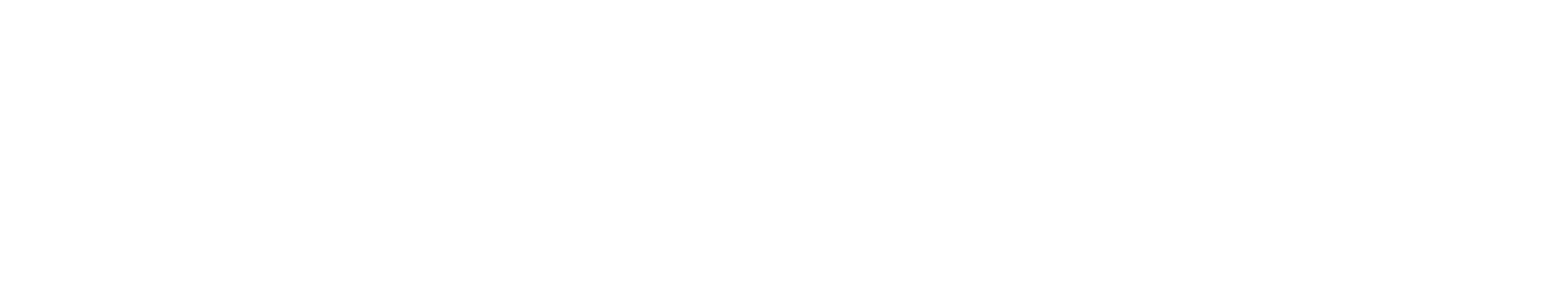 footer-logo