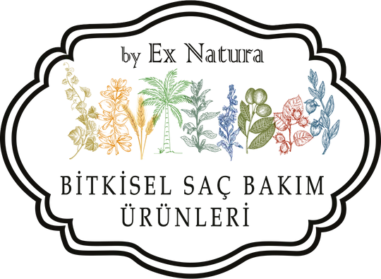 Main logo