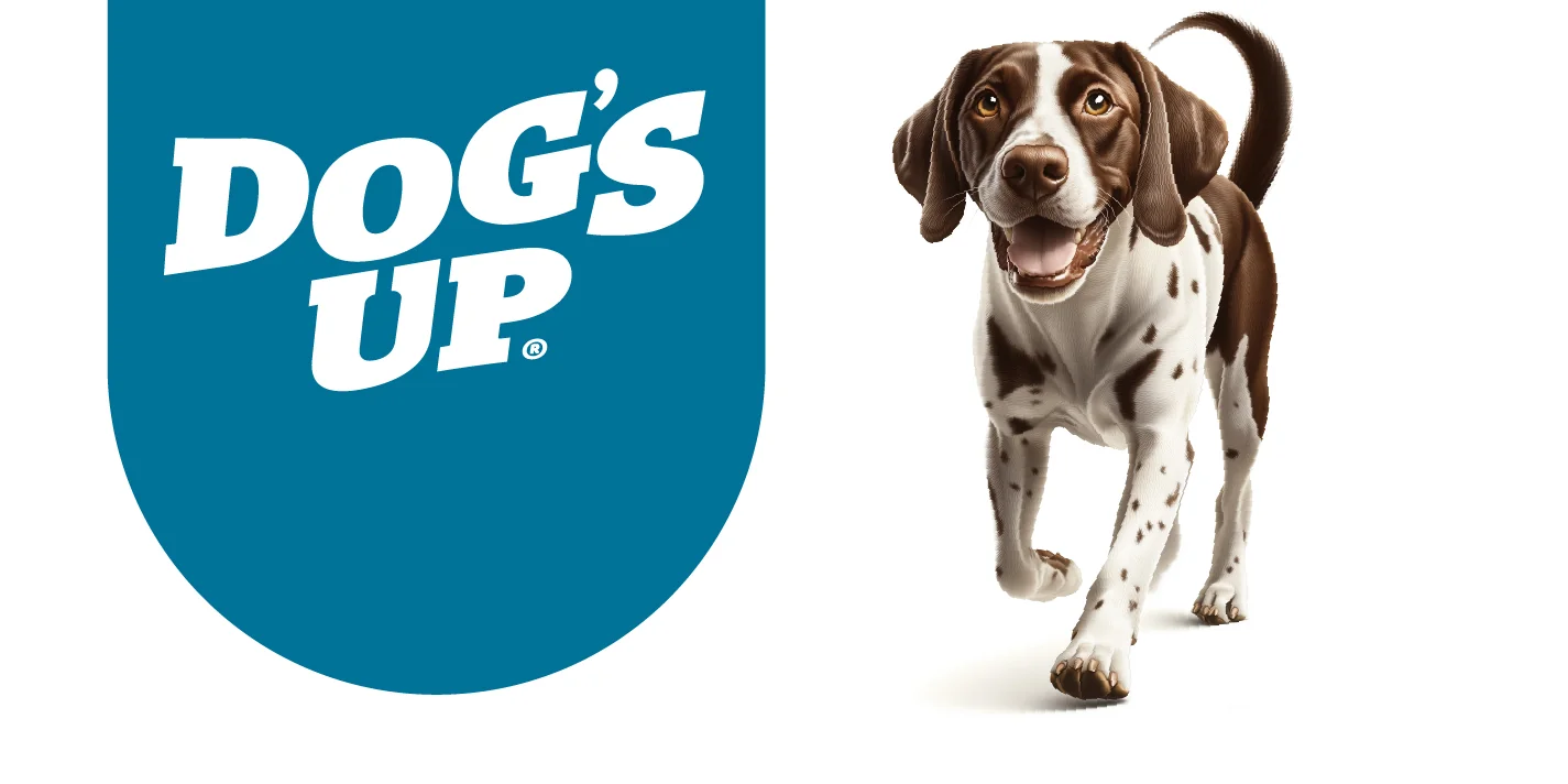 Dog's Up