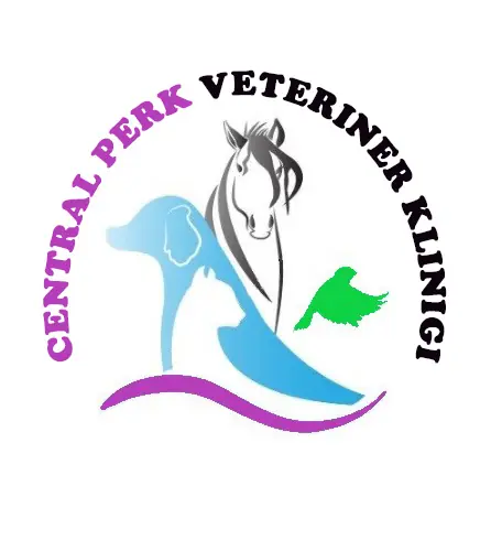 Central Perk Veteriner Online Mağaza