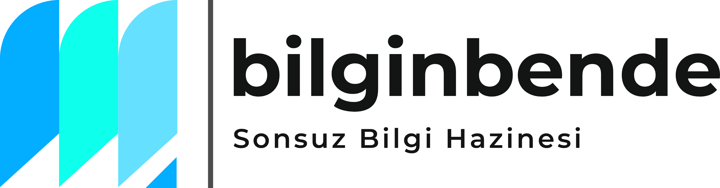 bilginbende