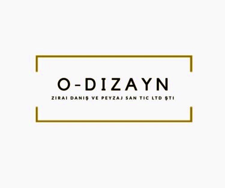 odizayn2002