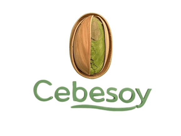 cebesoyoresel