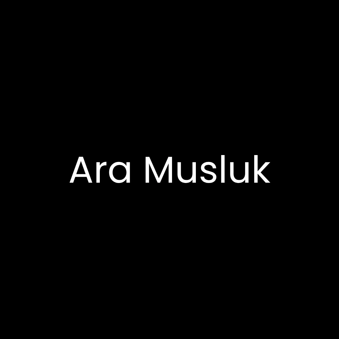 Ara Musluk