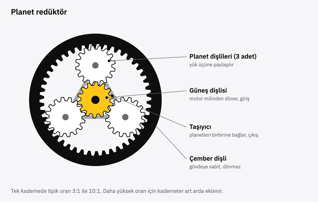 Güneş dişlisi, üç planet dişlisi, taşıyıcı ve çember dişliden oluşan planet redüktör şeması