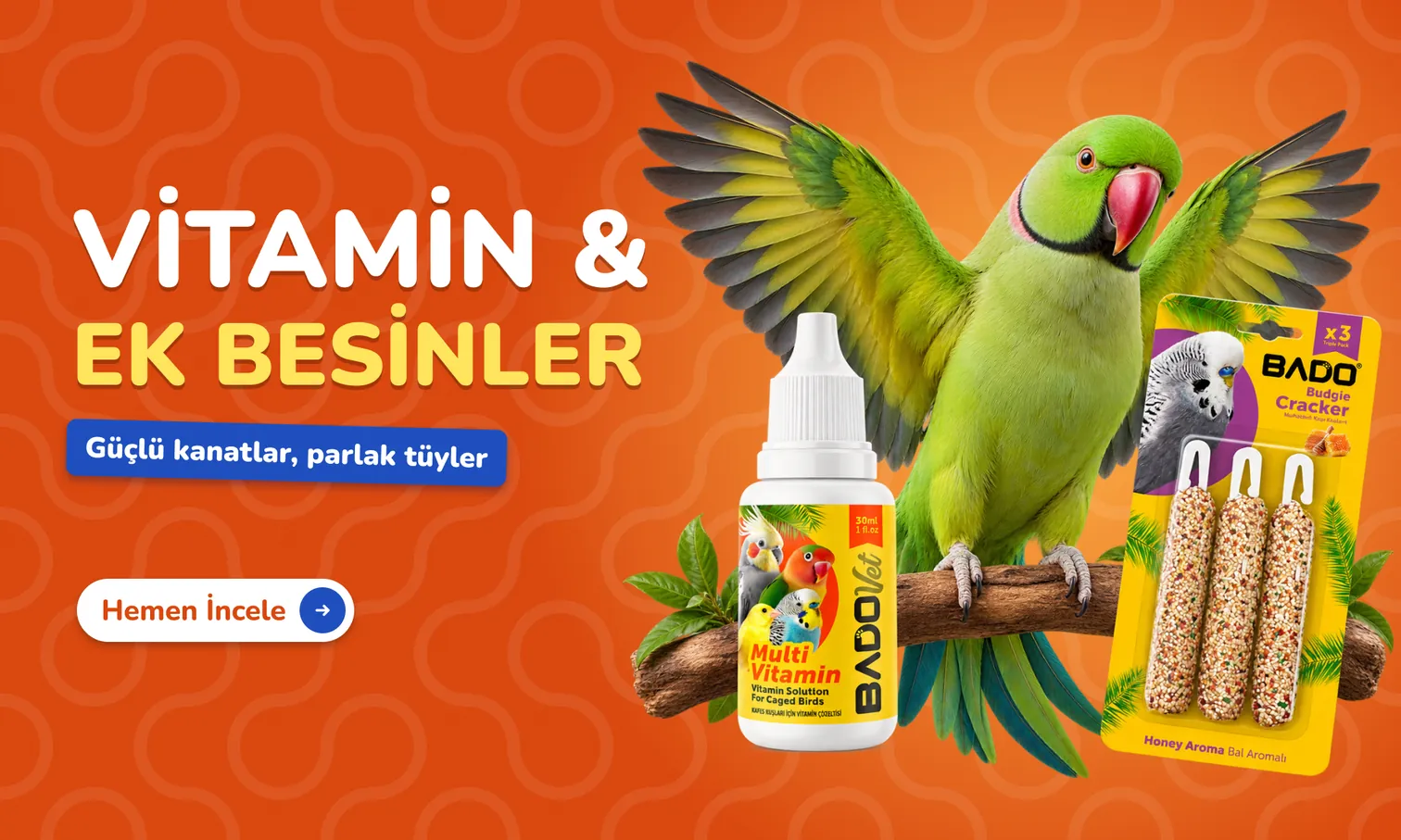 Vitamin ve Ek Besinler