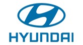 Hyundai Stepne Kılıfı