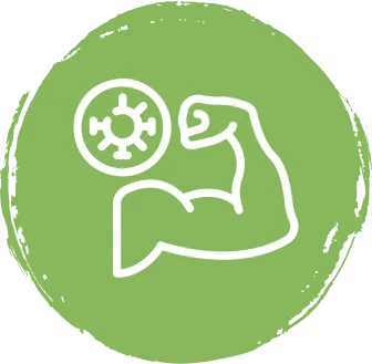 Bağışıklık İkonu