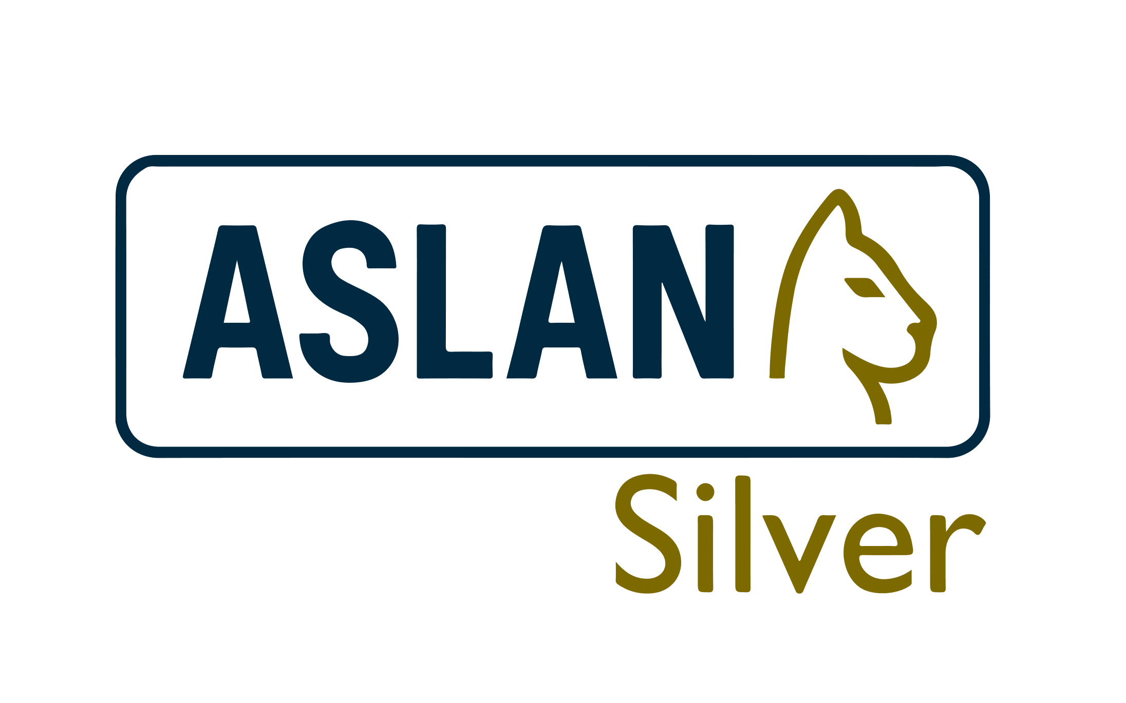 ASLANA SILVER