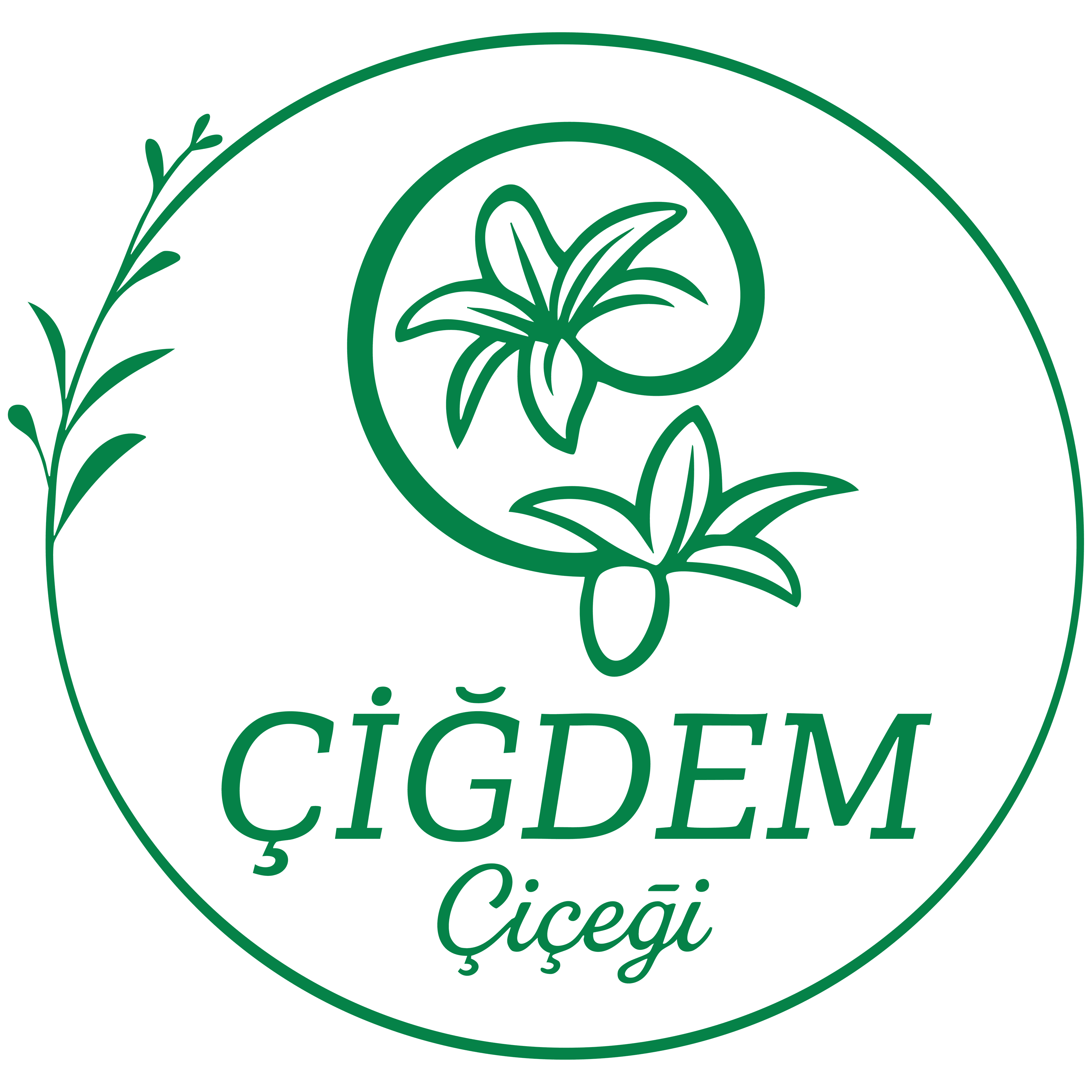 Çiğdem Çiçeği