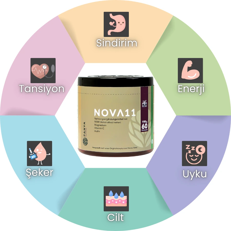 Nova 11 Görsel Listesi 2