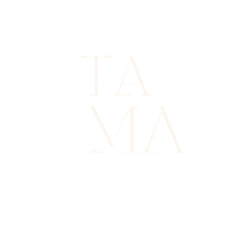 tesettureasikmodayaasina