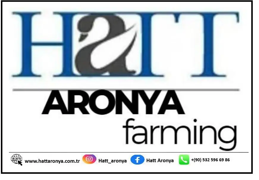 footer-logo