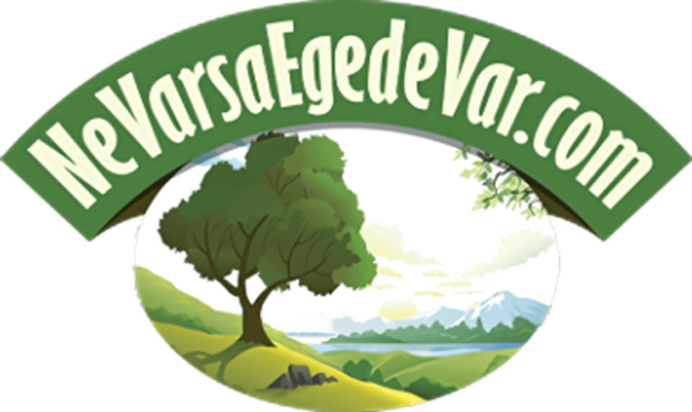 Ne Varsa Ege’de Var