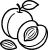 Kayısı ve Çekirdeği