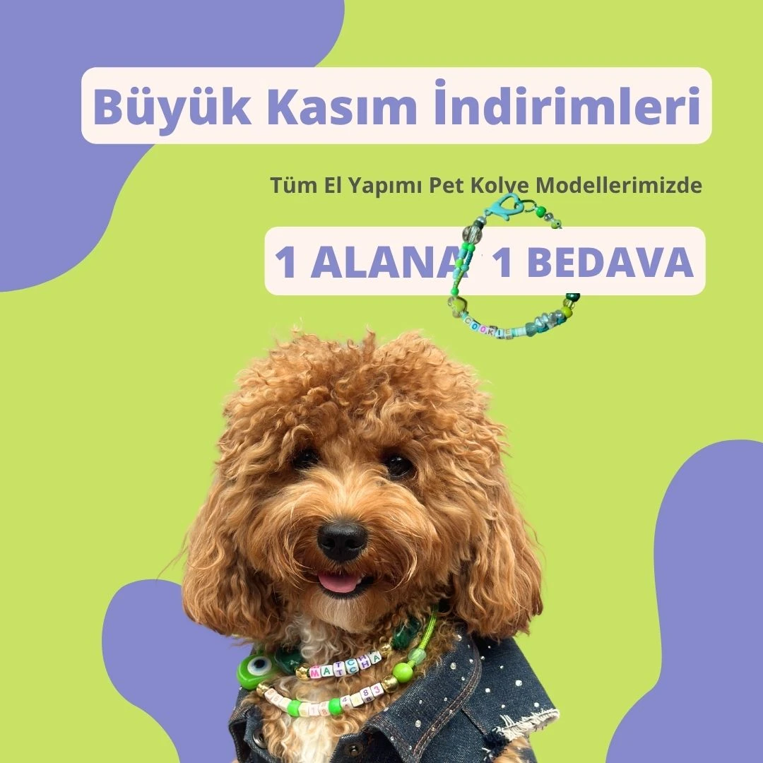 pet-kolye-toy-poodle