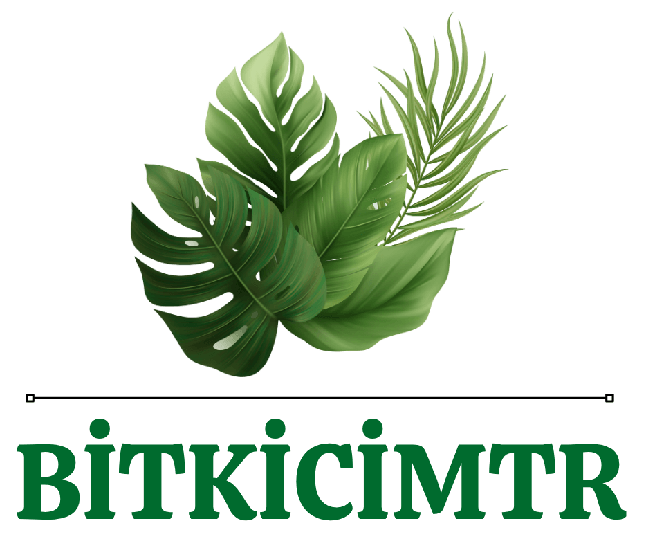 bitkicimtr