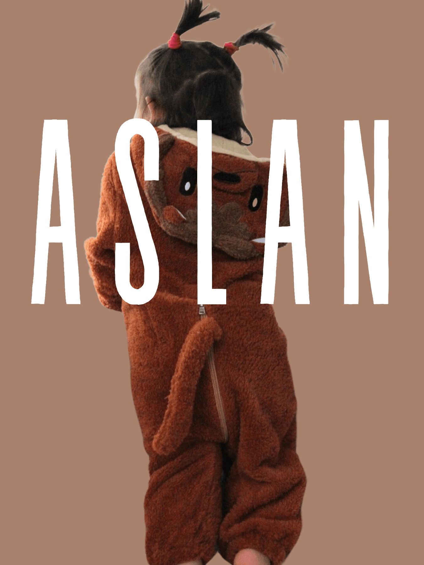 Aslan mobil banner