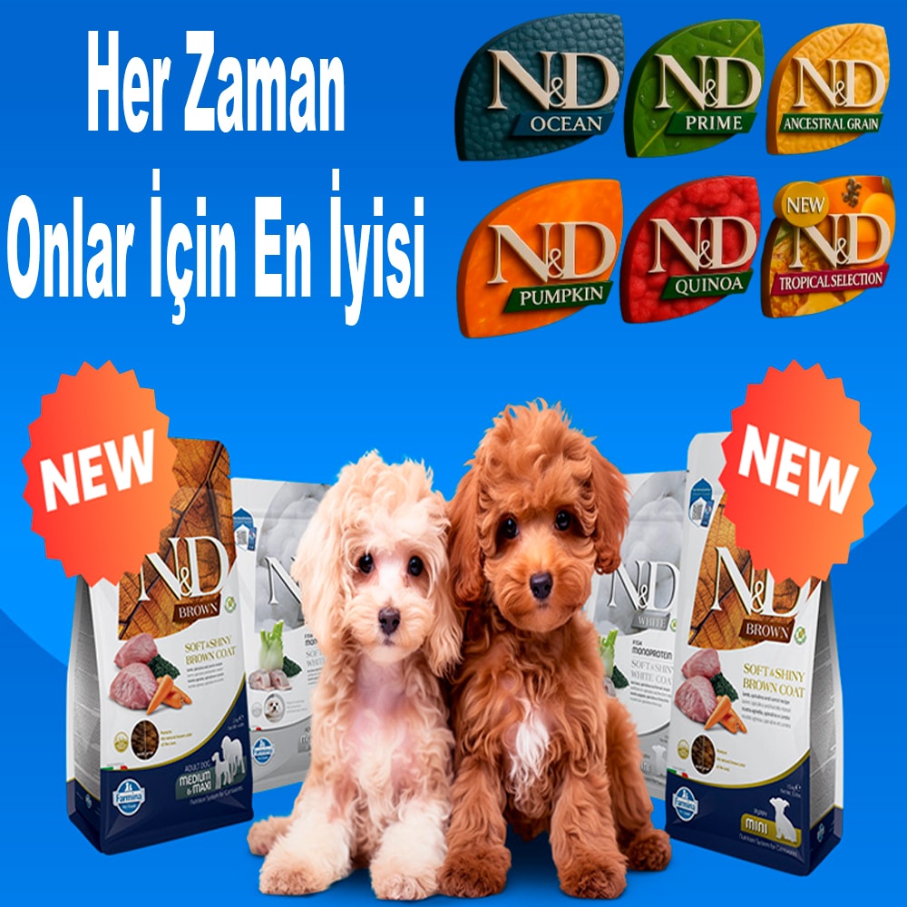 nd köpek