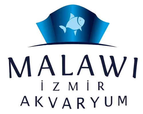 malawiizmir
