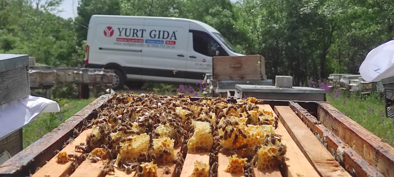 Erzincan Tulum Peyniri Yöresel Ürünler