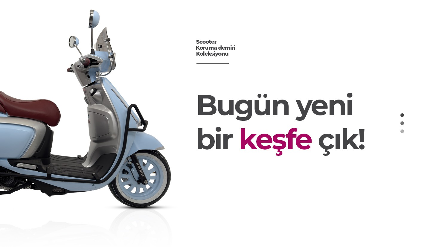 Arora Motor Koruma Demirleri