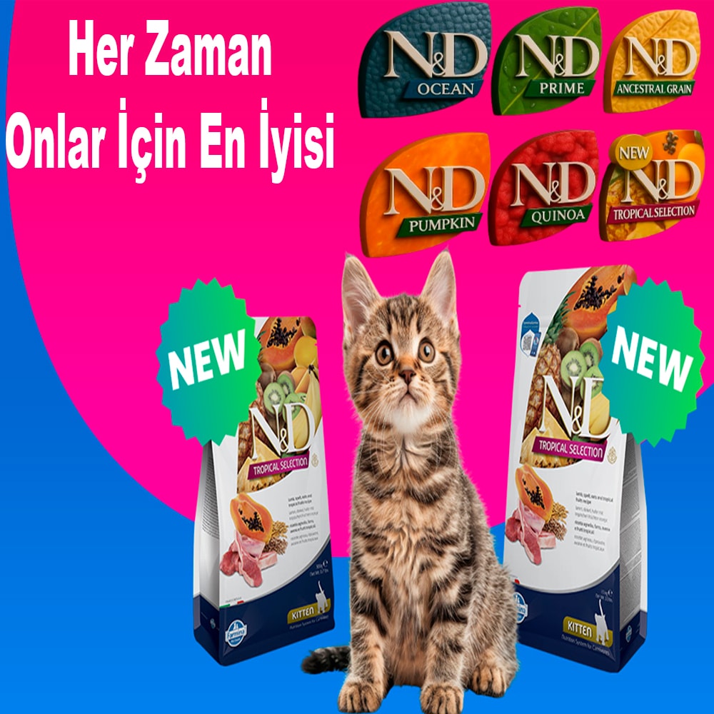nd kedi
