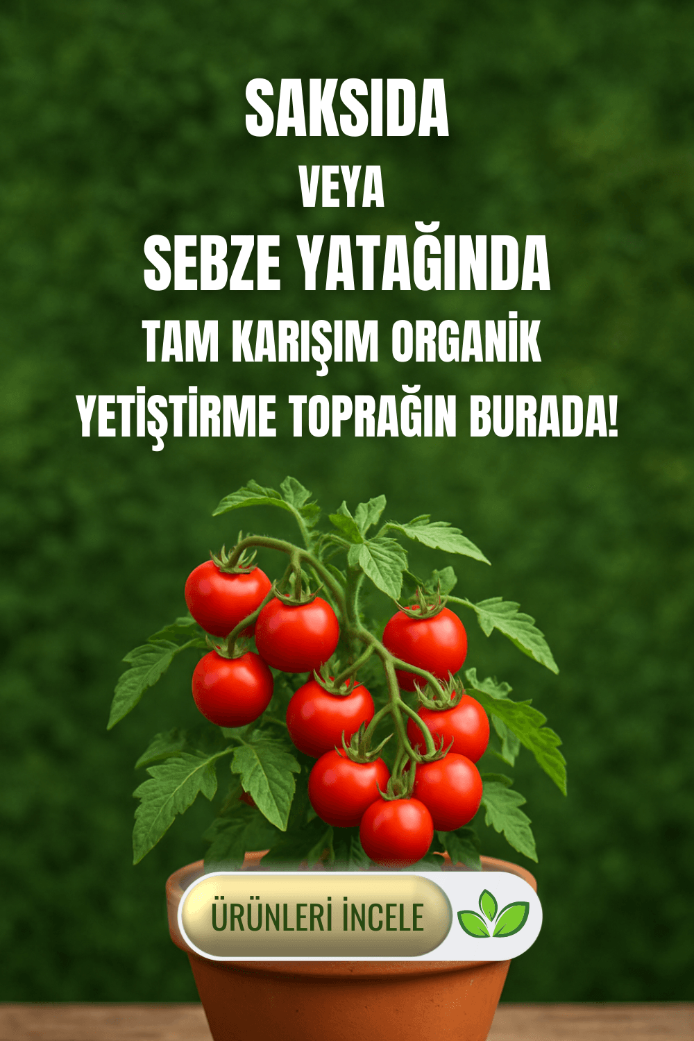 Saksıda veya Sebze Yatağında Tam Karışım Organik Yetiştirme Toprağın Burada