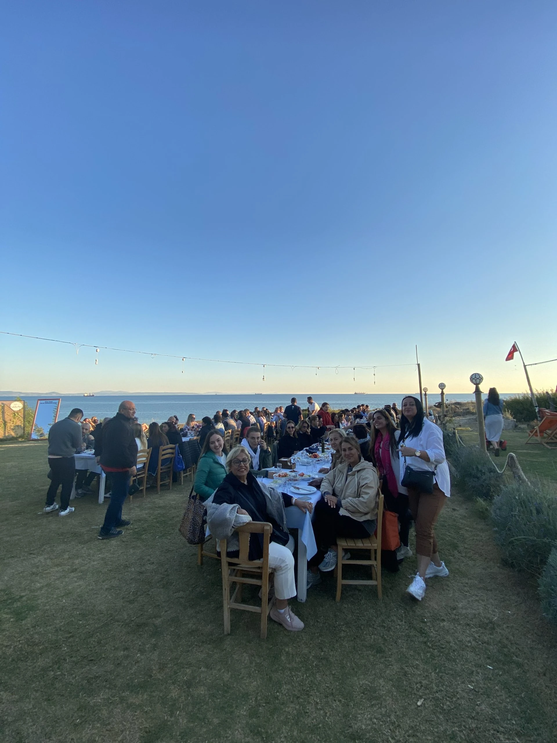 Bozcaada Zeytinlikleri