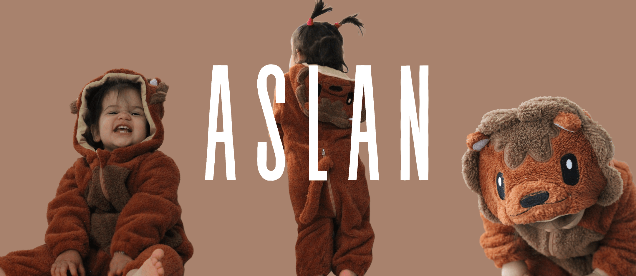 Aslan web banner