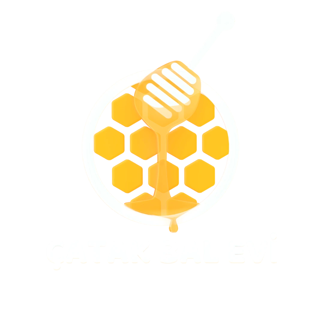 çatakbalevi
