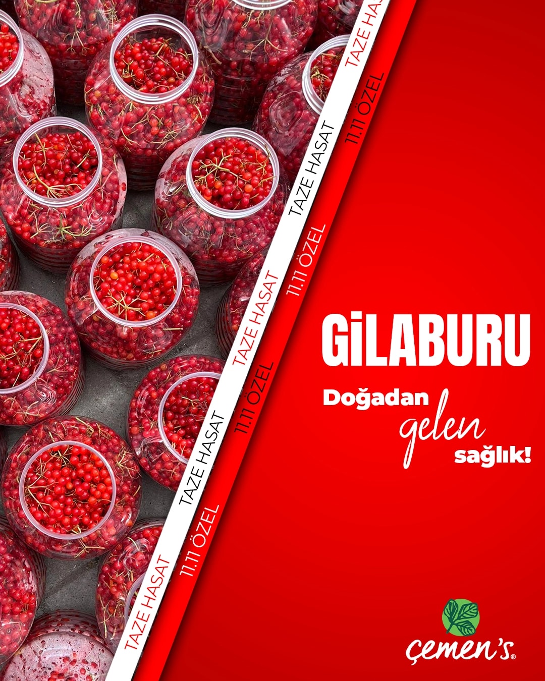 gilaburu